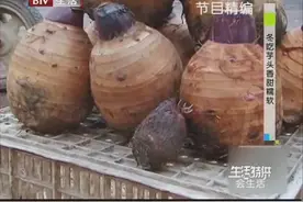 红香芋：最大的有7斤重，芋头中的巨无霸呀视频封面