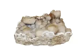 矿物晶体收藏热 水晶原石图片