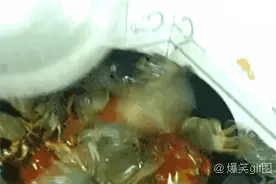 GIF精选：鱼蟹鳝进油锅时的反应图片