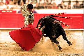 西班牙斗牛的渊源及发展现状图片