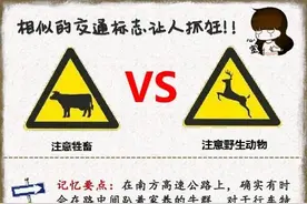 这些相似的交通标志 稍不留神就被扣分罚款！图片