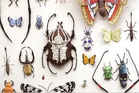 教程 | 教你用废纸创造一座充满生机的秘密花园图片