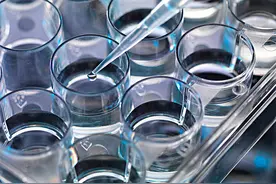 眼科干细胞的研究现状分析图片