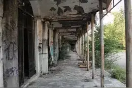 城会玩，躲猫猫竟然成了外国成年人的竞技游戏图片