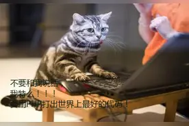 如何成为一个优秀的PHP 程序员图片