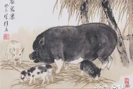 属猪牛马这几天出生，天生富贵，个个都会是有钱人图片