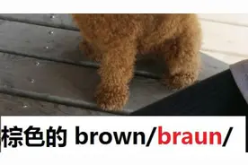 英语音标元音20个：单词棕色brown