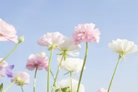 在婚姻里没有第三者的位置图片