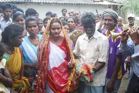 别再自称单身狗了！憨厚大黄狗坐拥18岁俏新娘，原因很心酸！图片