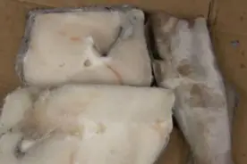 几个方法教你简单辨别真假鳕鱼视频封面