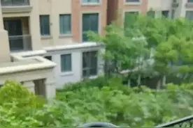 这或许是迄今为止最走心的多肉悼文了！图片