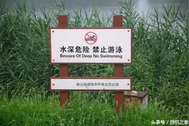 淘宝网购组装机之水深危险 中高端篇图片