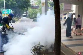 新加坡采高强度杀虫剂加紧灭蚊图片
