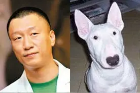 明星动物大乱撞，没有最像只有更像图片