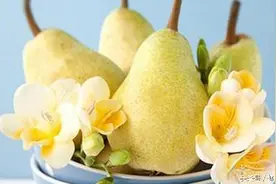 秋梨膏的意思是：秋天到了该吃梨膏了...图片