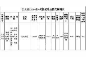 365独家：蒲河大道北侧-195经营服务项目用地流拍图片