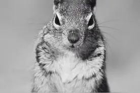 大学两年换来的教训图片