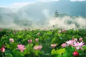 金华有个地方n多五世同堂，百岁老人依然矫健图片