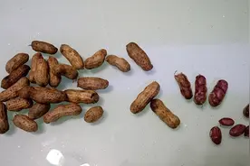 盐水鲜煮花生，原汁原味图片