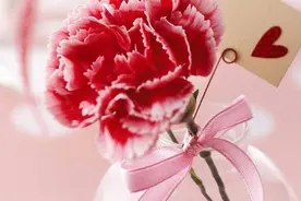 吐槽下我的懒嫂子图片