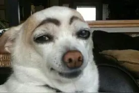 他们戴着面具去拔河：结果把对面的人都笑到没力气了图片