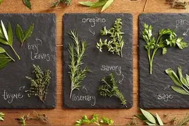 西餐烹饪中常用西餐调料介绍图片