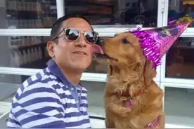 金毛汪跻身网红界，一言不合抱大腿图片