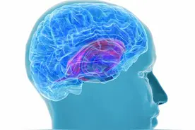 转移性脑瘤可以活多久图片