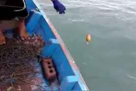 原来八爪鱼是这样抓，果然智慧来源于生活图片