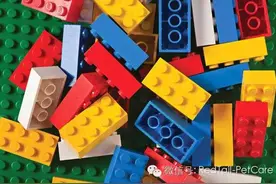 用于鸟类玩具的安全材料图片