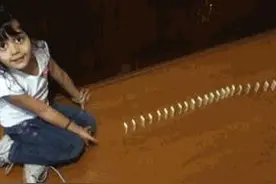 爆笑回复专场！哎哟，我去！怎么才能把自己胖说的优雅点？哈哈图片