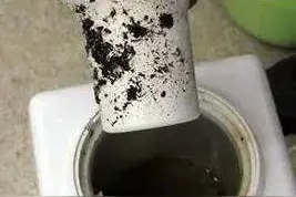 饮水机长期不洗长青苔，被污染的桶装水你还在喝吗？图片