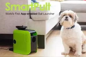 ​点一下手机就能让狗狗跑起来，你绝对没看过的新科技图片