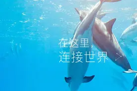 他的企鹅号5天就过试运营！为什么你还一直过不了？图片