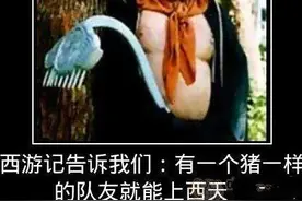 猪一样的队友二战中汽车企业干过的飞机——意大利&瑞典篇图片