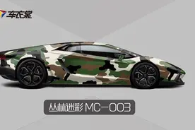 车主应准备双丝袜避免加到“脏油”图片