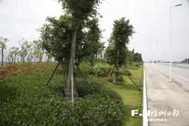 福州“最美环岛路”建成过半，福平铁路马尾段开挖新鼓山隧道，百日攻坚行动又有新进展！图片