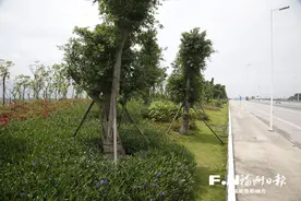 福州“最美环岛路”建成过半 美景初现图片