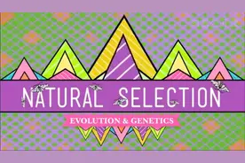 妈妈之选通俗易懂的生物学：十分钟生物学图片