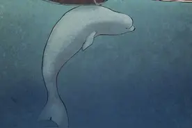 把你的孩子当大人看，对你的孩子绝对没坏处，他们就能更相信自己图片