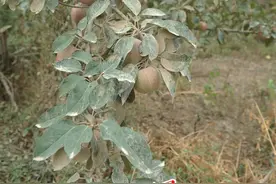别再让华店公路蒙尘！图片