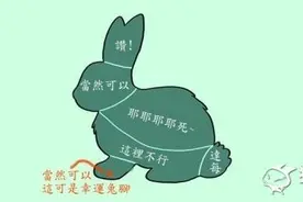 「兔兔与小主人」睡懒觉画面治愈了我！妈妈我想养图片