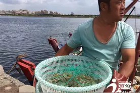 9月1日天津开海啦 一大波海鲜正在靠近图片