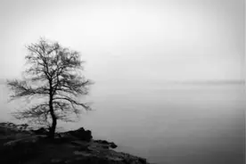 stay with me ,dance with me图片