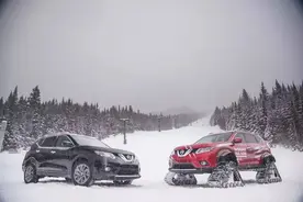 图集｜疯狂的大脚，冬天怎么玩儿图片