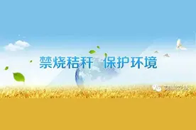 只要利用好，秸秆也能变成宝图片
