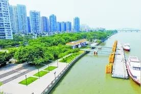 金沙洲慢行系统建设取得新进展图片