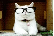 首批“6年免检”车辆到期啦，这些事你必须知道图片