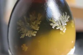 重庆美食特产之永川皮蛋图片