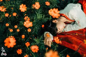 小说：她穿越成尚书府的三千金，却被生母遗弃、大哥捉弄图片